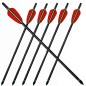 Preview: Crossbow arrow aluminum arrows 16 " black