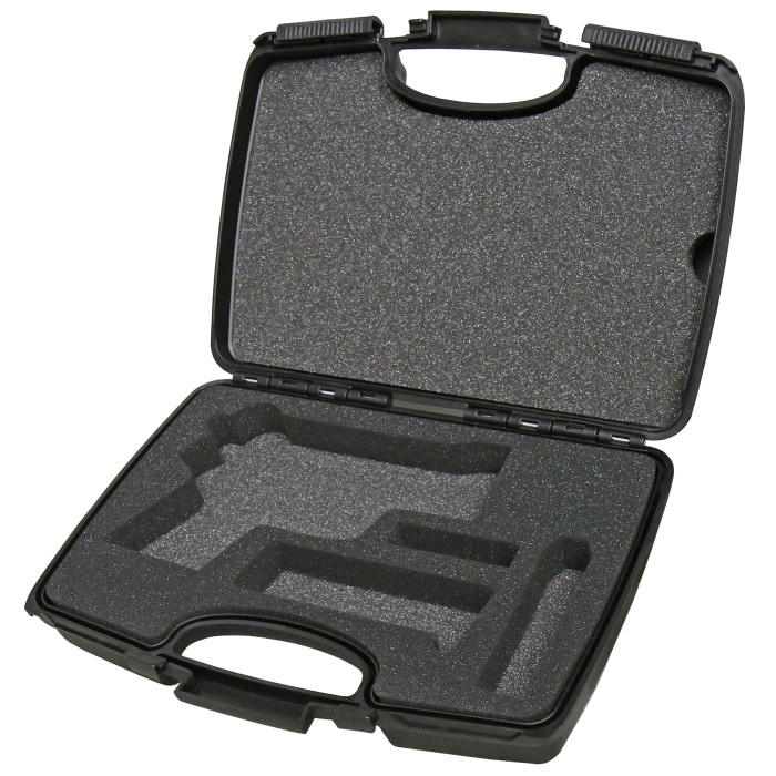 Sig Sauer pistol case