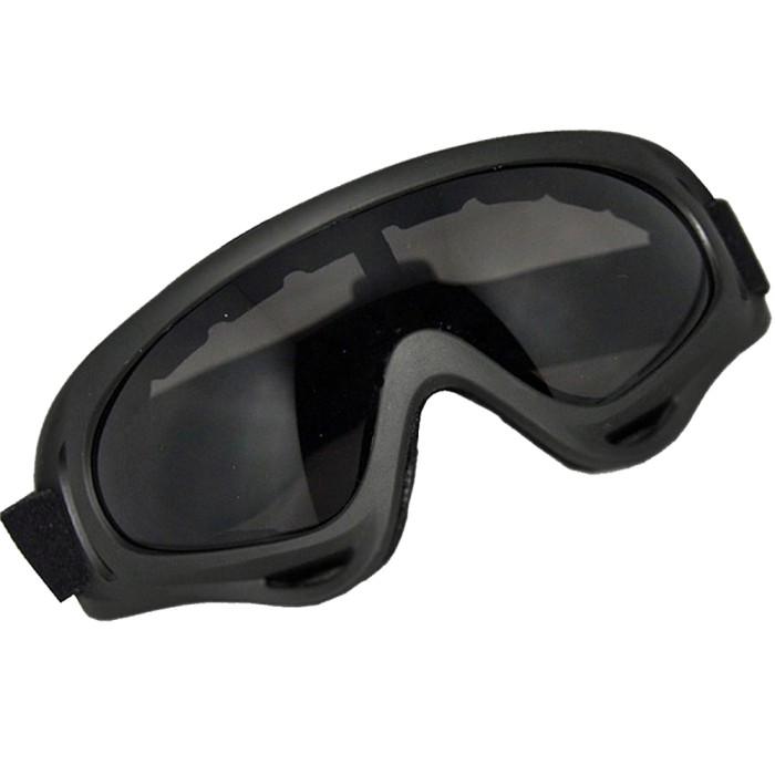 Schneebrille Arber